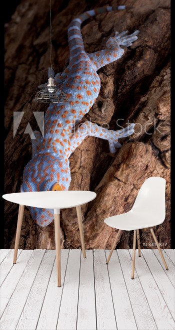 Picture of Tokay gecko climbing down tree
